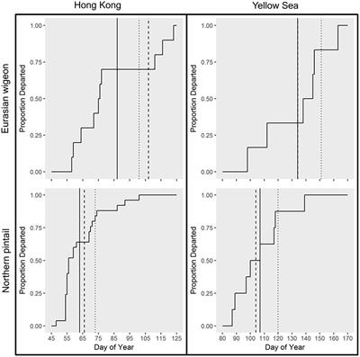 Waterfowl Spring Migratory Behavior and Avian Influenza Transmission Risk in the Changing Landscape of the East Asian-Australasian Flyway